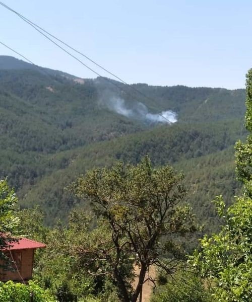 Köylülerin müdahalesi ormanı yanmaktan kurtardı