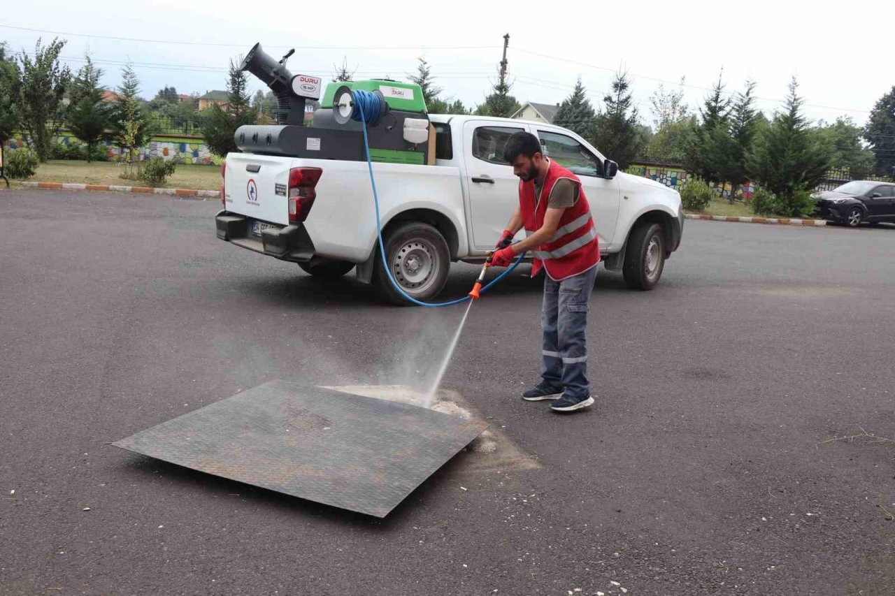 Asya Kaplanı türüne dikkat