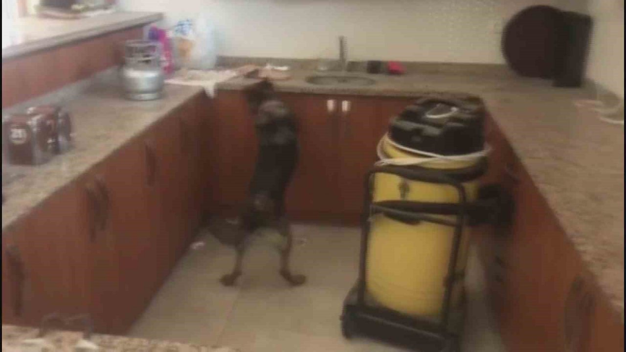 Kargo kutularından uyuşturucu çıktı