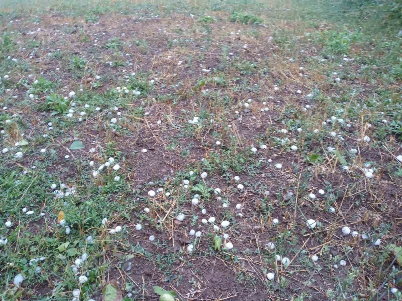 Kastamonu’da ceviz büyüklüğünde dolu yağdı
