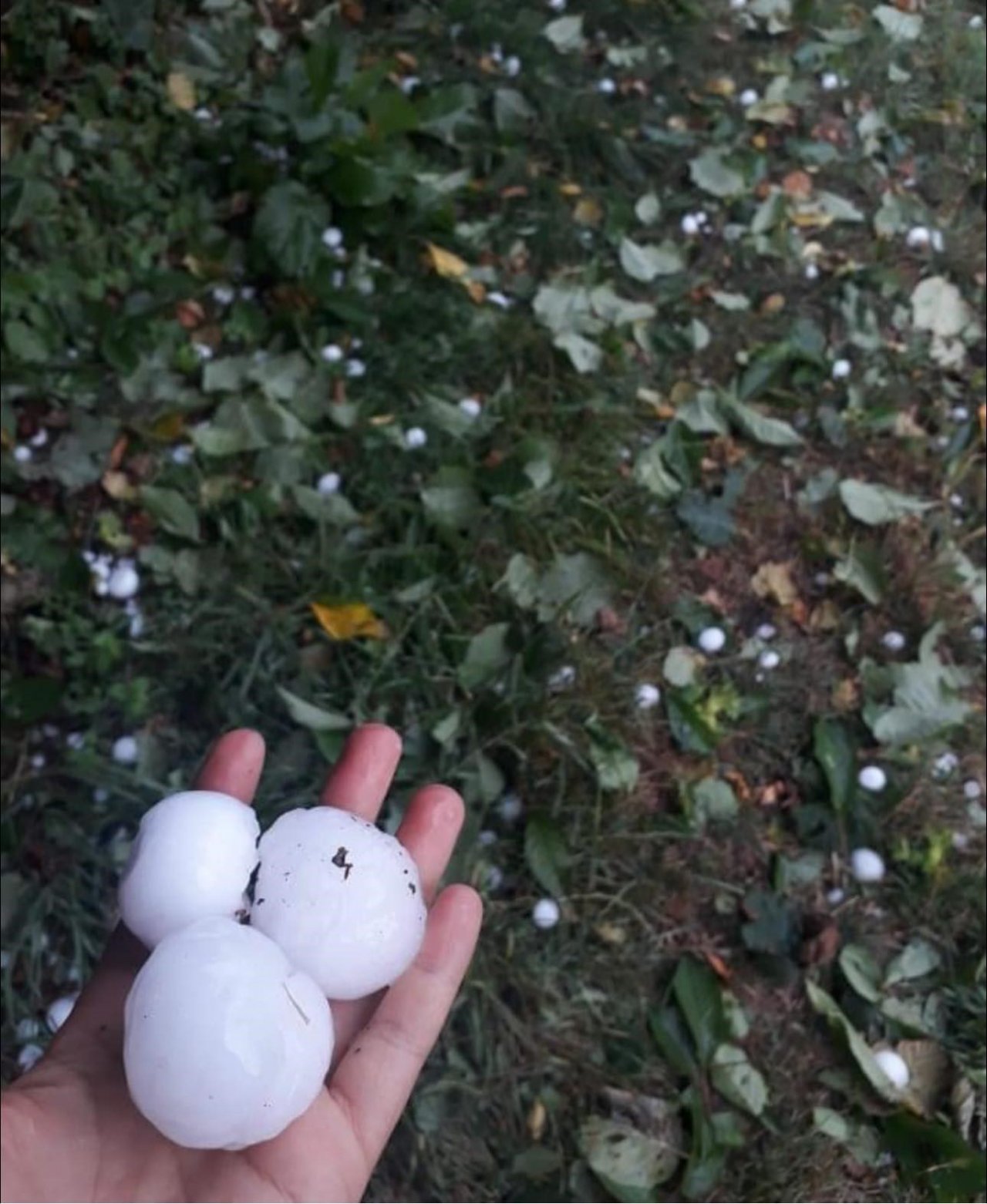 Kastamonu’da ceviz büyüklüğünde dolu yağdı