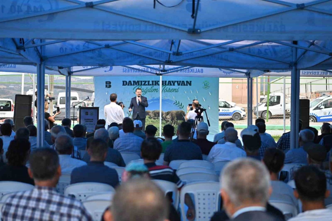 Kepsut’ta 85 üreticiye 585 küçükbaş desteği