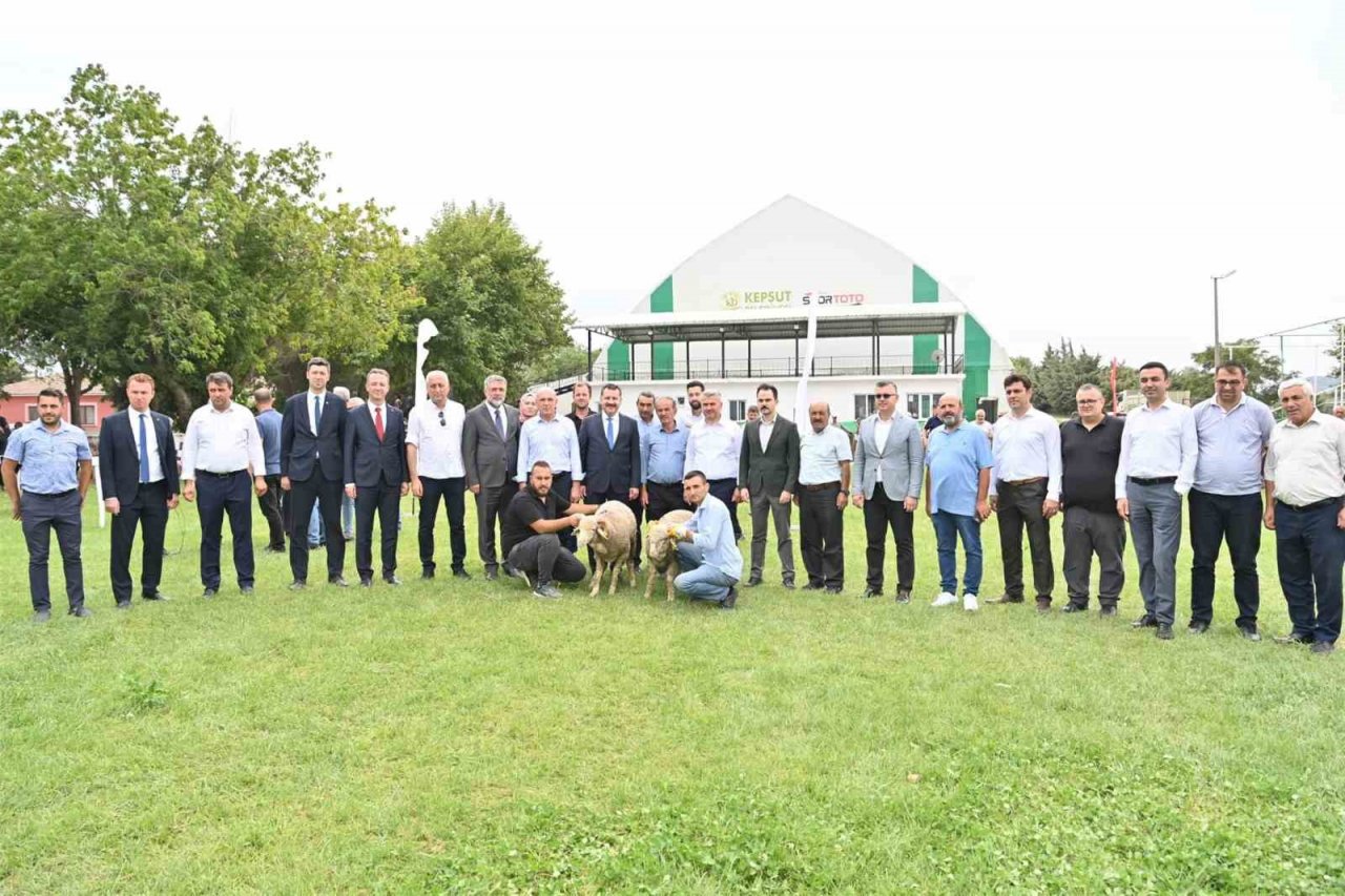 Kepsut’ta 85 üreticiye 585 küçükbaş desteği