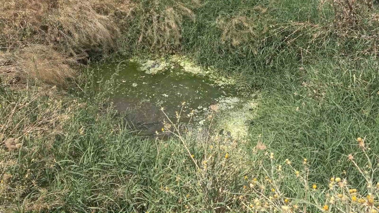 Kırıkkale’de bir mahalle daha ayaklandı, kadınlar sokağı kapattı: İddialar şoke etti