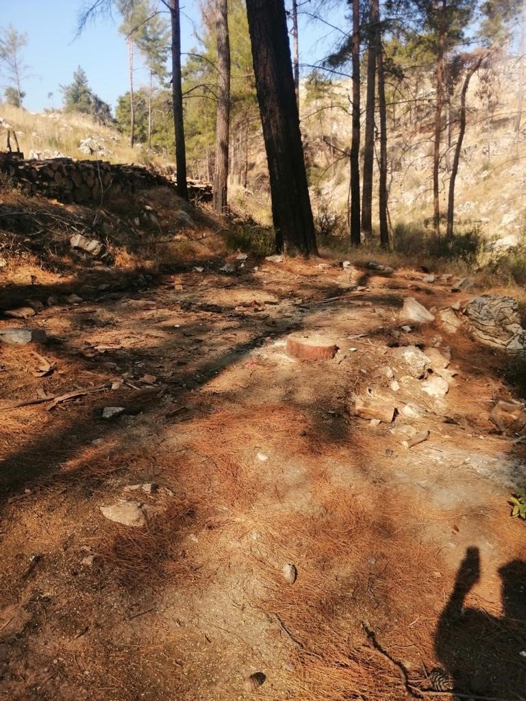 Ormana çöp atanlara ceza yağdı