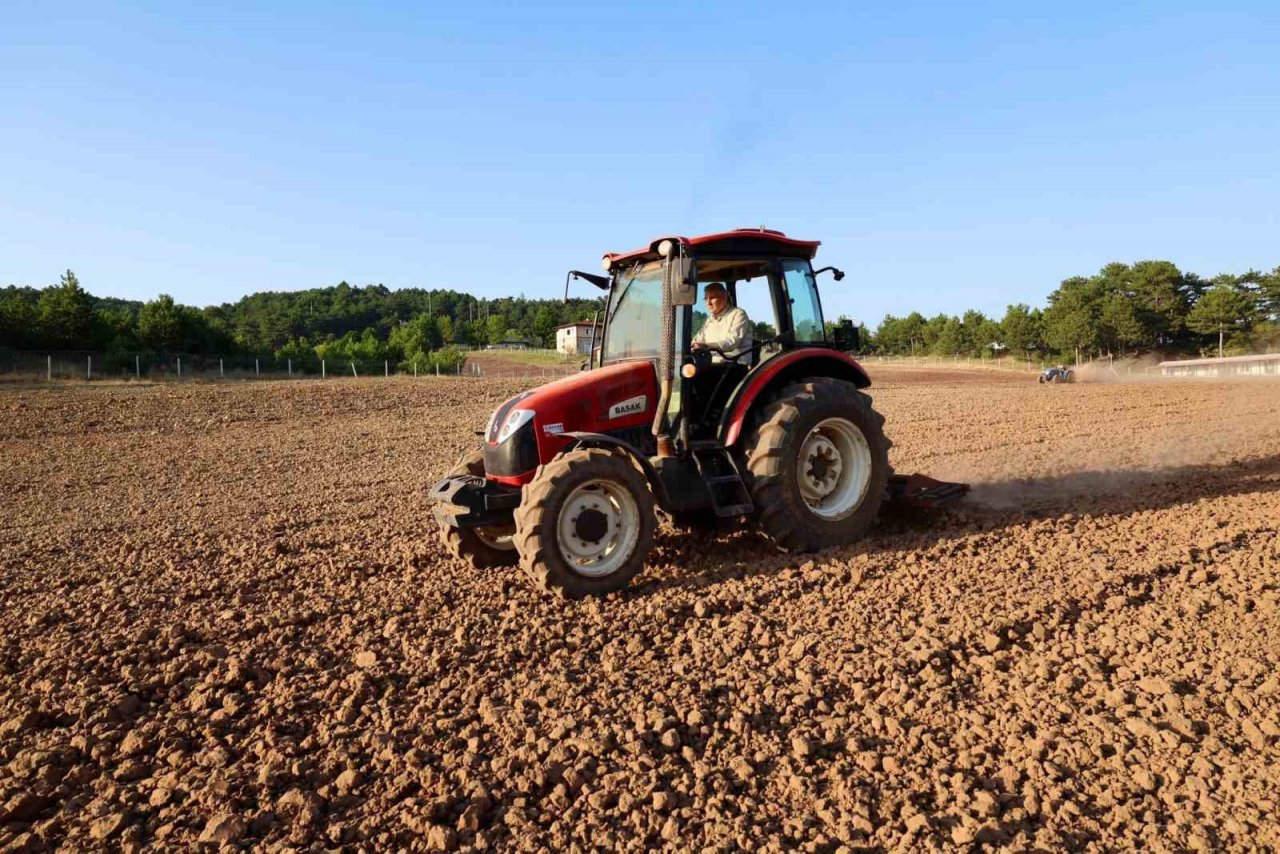 Başkan Yüce traktörün direksiyonuna geçti, çilek hasadına katıldı