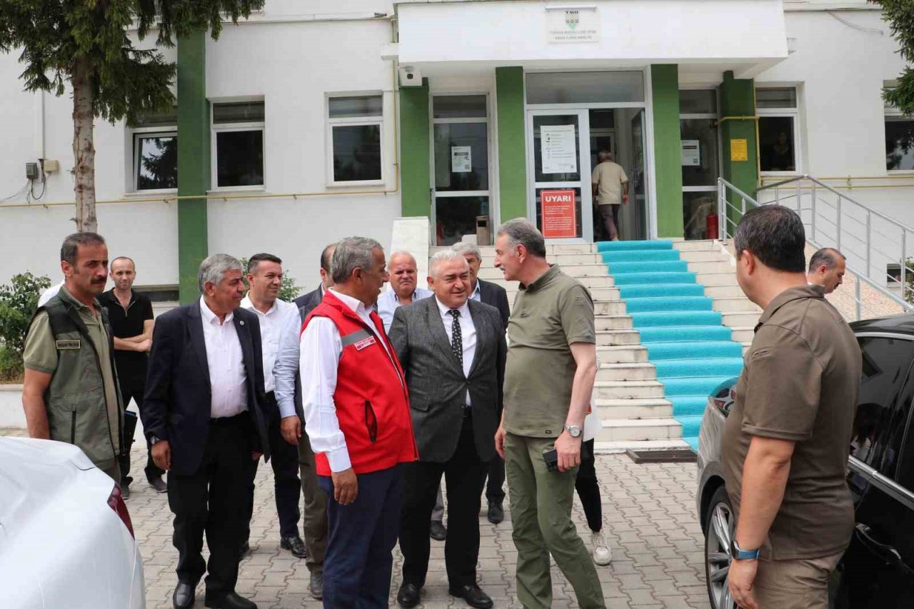 Güldal: "TMO son ürün gelene kadar alıma devam edecek"