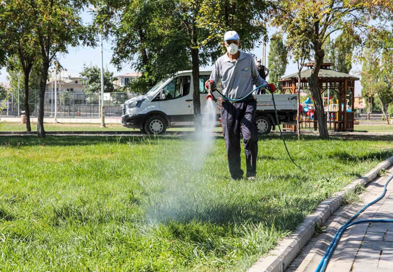 Van’da kent zararlılarına karşı ilaçlama çalışması