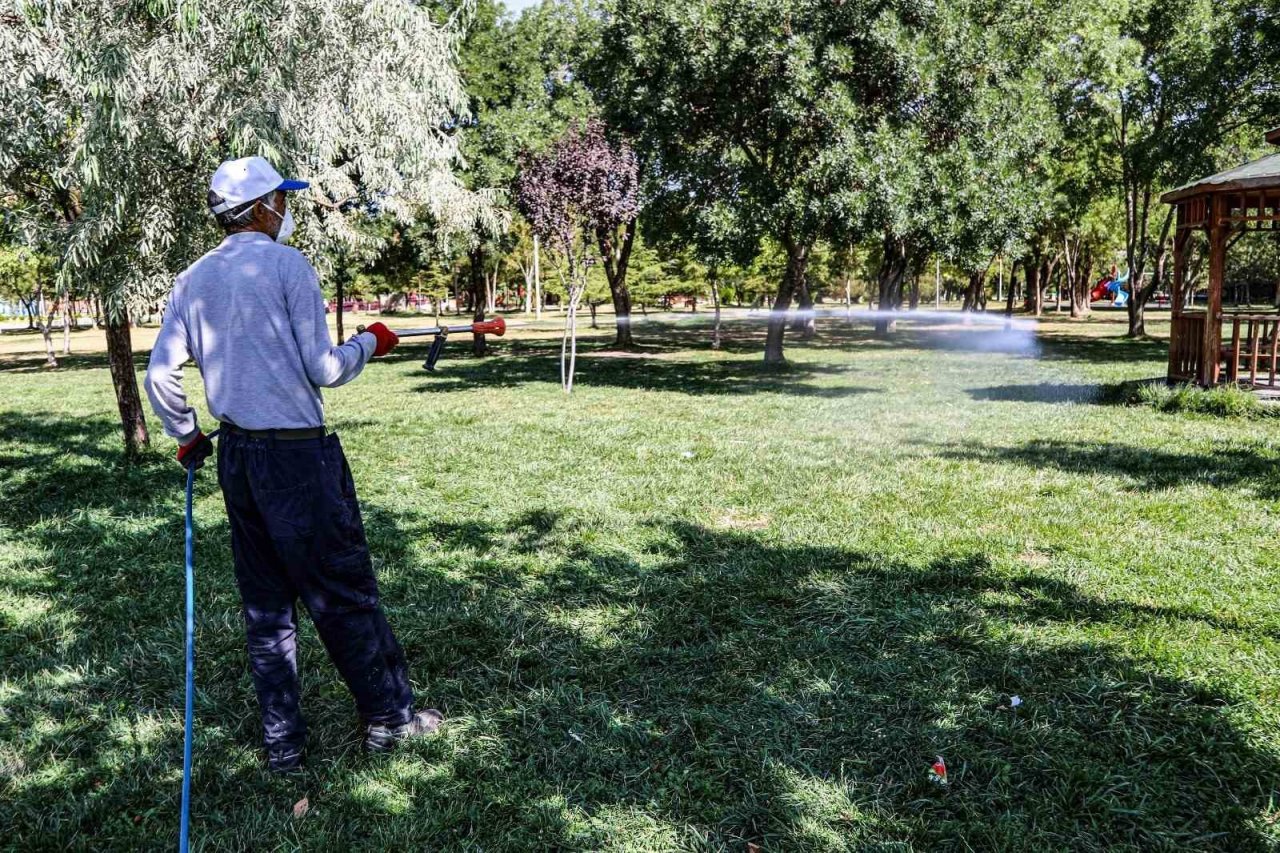 Van’da kent zararlılarına karşı ilaçlama çalışması