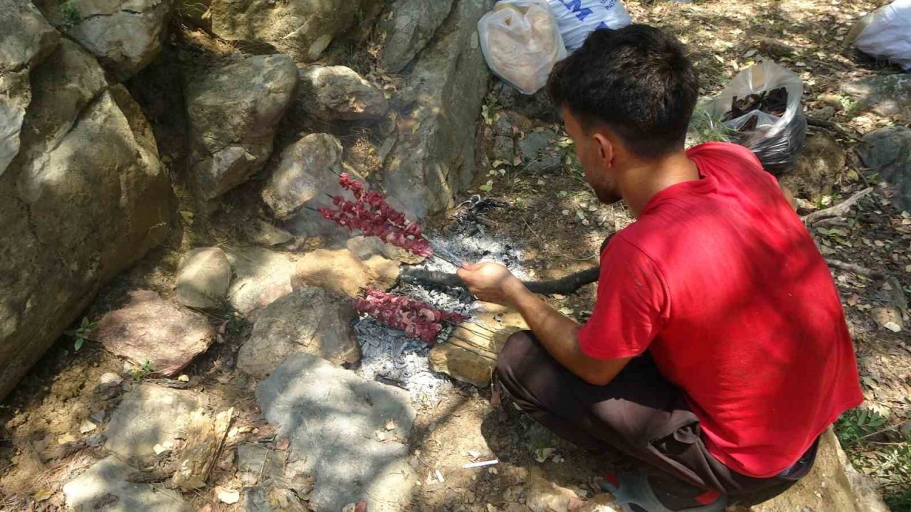 Şifa deposu harnupta hasat zamanı