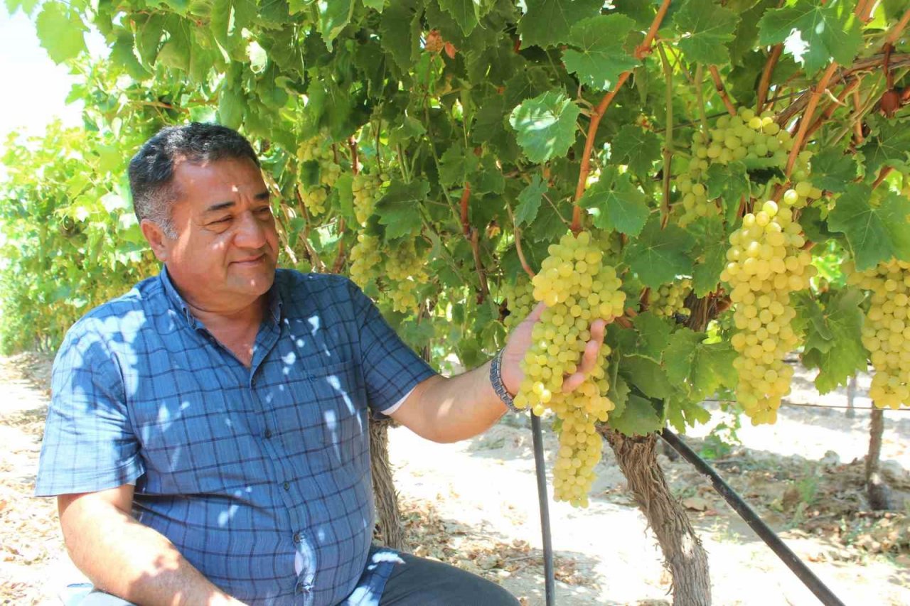 Sultani üzümde ilk ihracat tırları yola çıktı