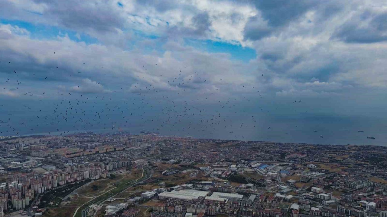 Leyleklerin İstanbul semalarında göç yolculuğu havadan görüntülendi