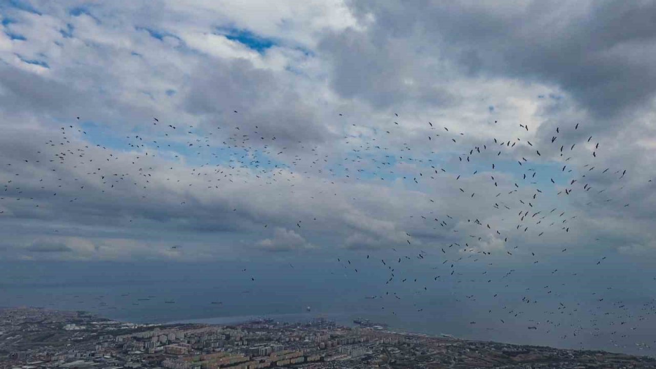 Leyleklerin İstanbul semalarında göç yolculuğu havadan görüntülendi