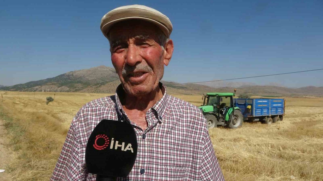 160 bin dönümde buğday hasadı, verim üreticinin yüzünü güldürdü