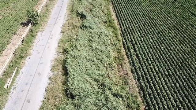 Efeler’de uyuşturucu operasyonu