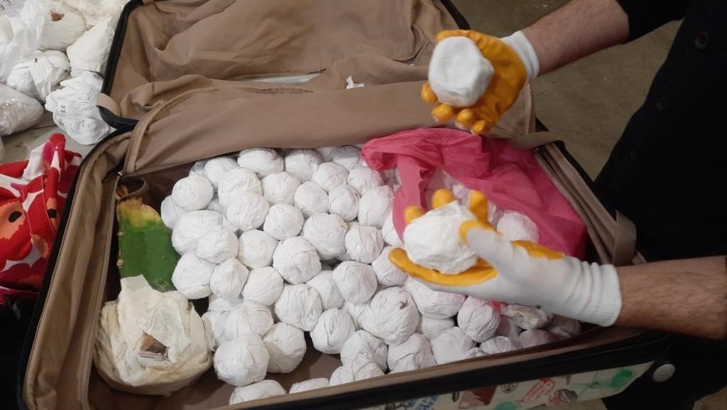 Sarp Sınır Kapısı’nda kaktüs kaçakçılığına geçit yok