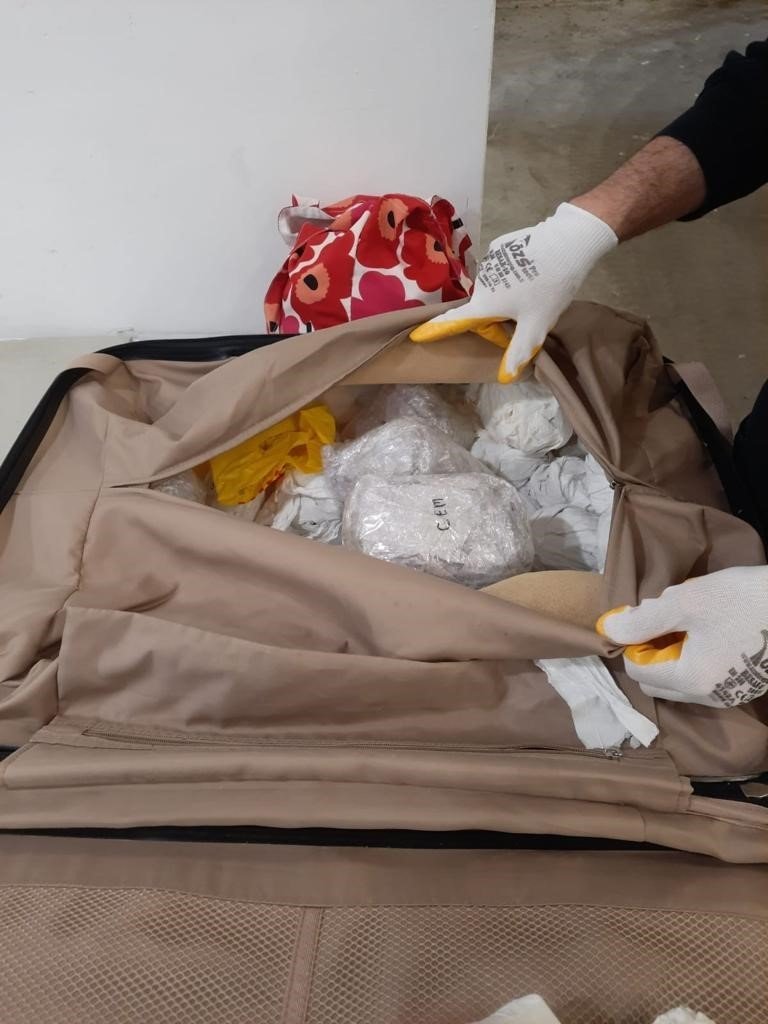 Sarp Sınır Kapısı’nda kaktüs kaçakçılığına geçit yok