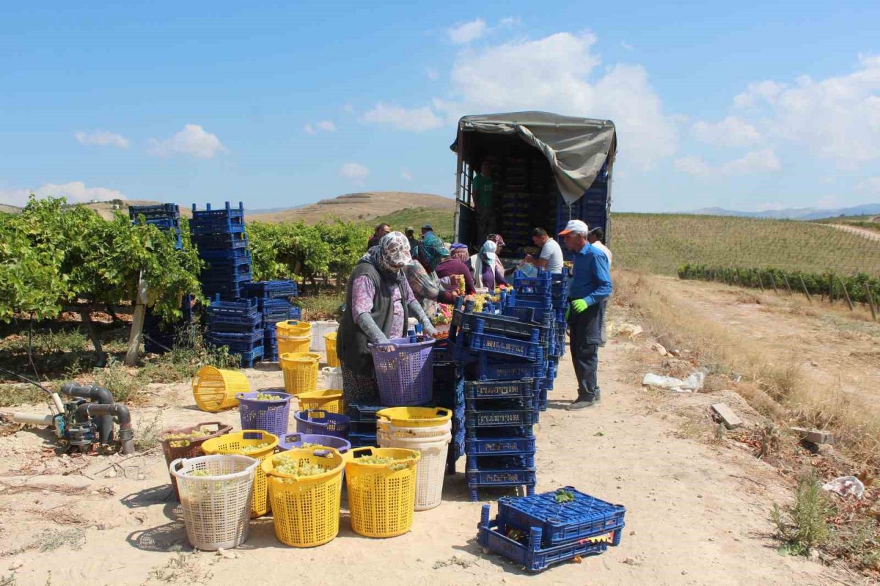 Sultani üzümde ilk ihracat tırları yola çıktı
