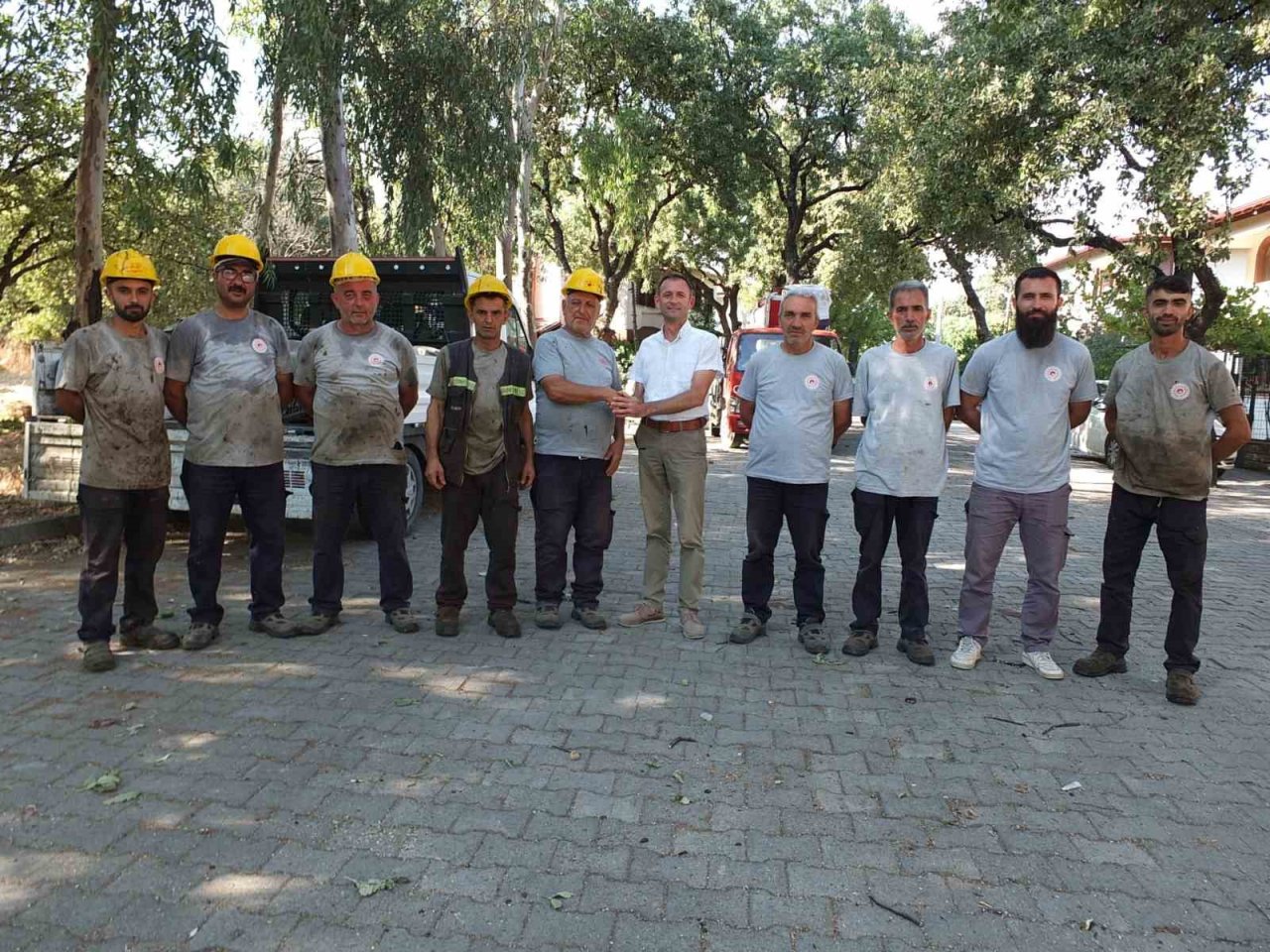 Balıkesir’de abide ağaçlara bilimsel bakım