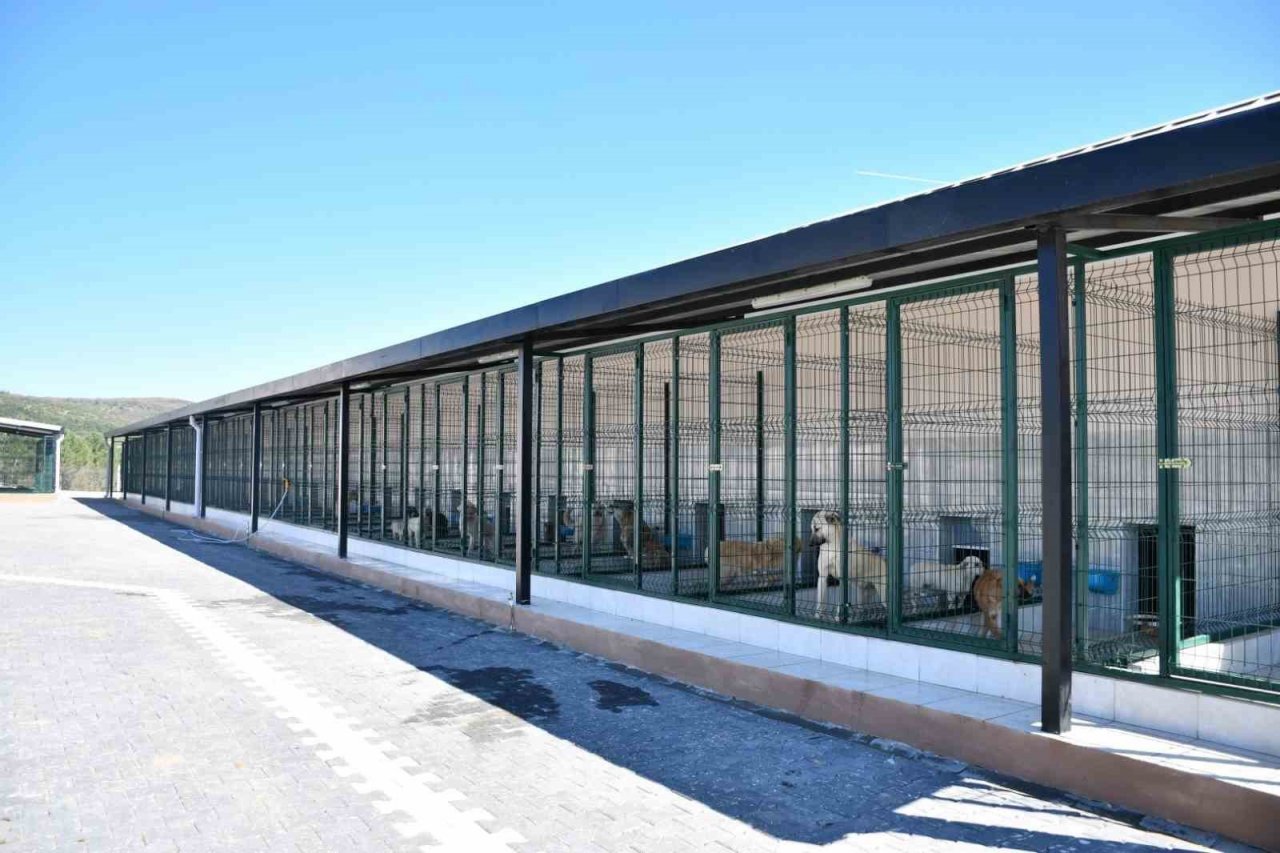 İnegöl Belediyesi barınağını ayda 400 kişi ziyaret ediyor