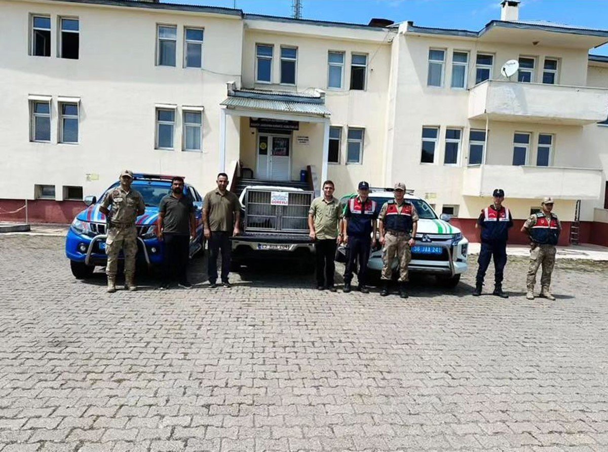 Kars’ta satılık kurt paylaşımı yapan 1 kişiye 14 bin TL para cezası