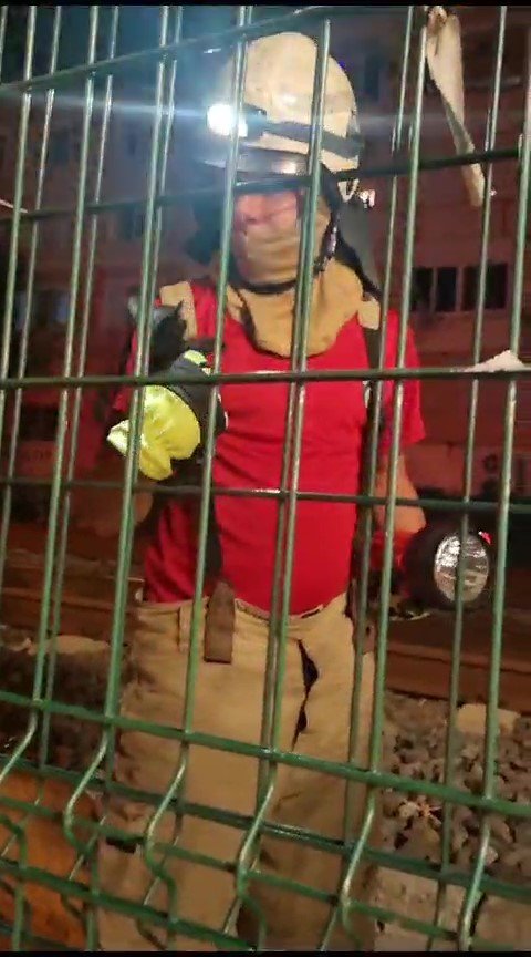 Kartal Marmaray durağının mazgallarında mahsur kalan kediyi kurtarma operasyonu