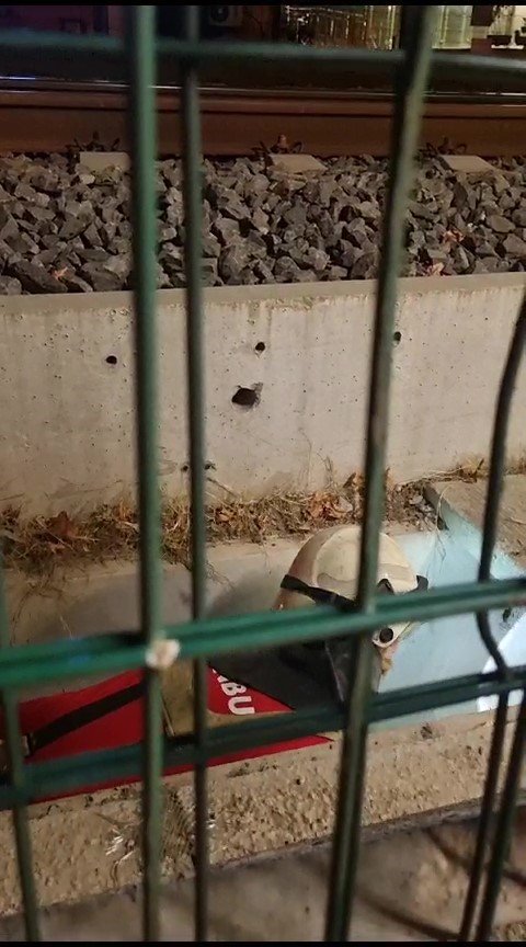 Kartal Marmaray durağının mazgallarında mahsur kalan kediyi kurtarma operasyonu