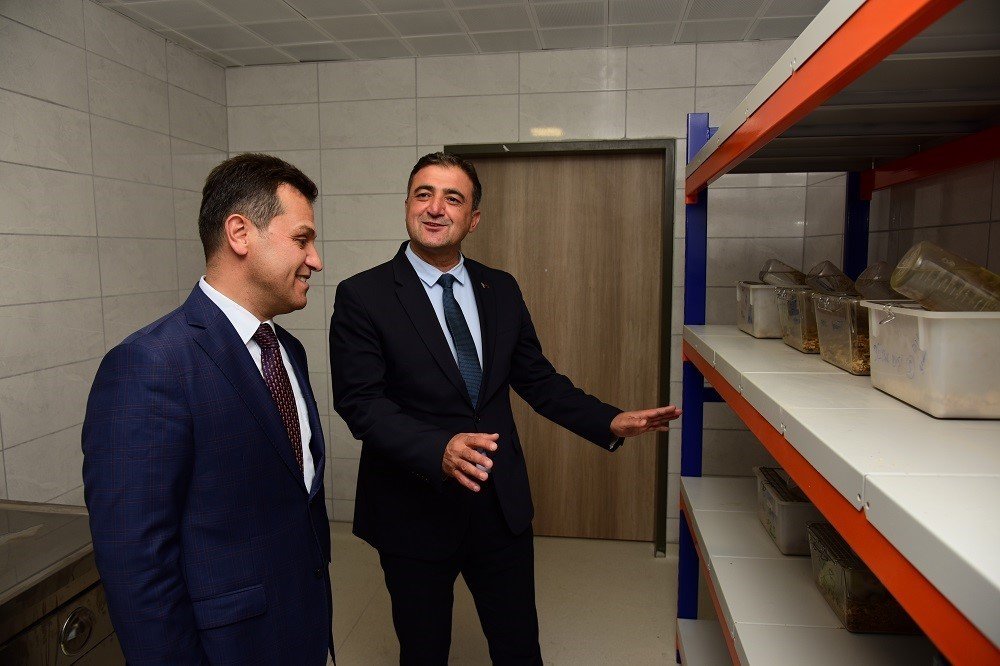 Kastamonu Üniversitesi deney hayvanları ile bilimsel çalışma yapabilecek