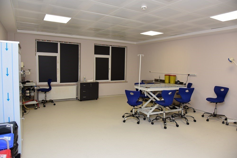 Kastamonu Üniversitesi deney hayvanları ile bilimsel çalışma yapabilecek