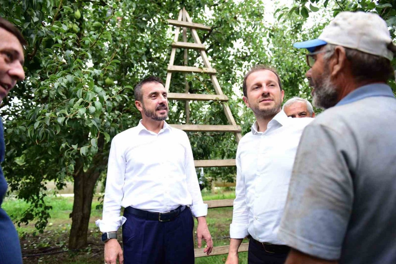 Bursa’da armut hasadı başladı... İlk meyveler Milletvekili Kılıç ve Başkan Tanır’dan