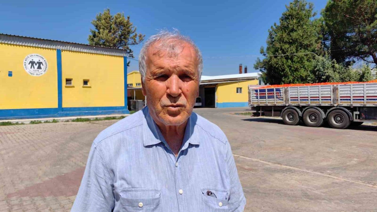 Kadınların ürettiği biber salçası Hollanda’ya ihraç edilecek