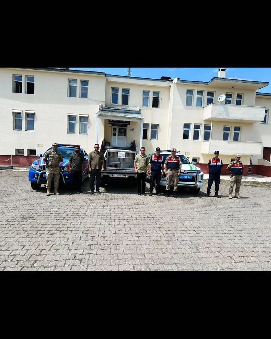 Kurt yavrusunu satmak isteyen şahsa para cezası