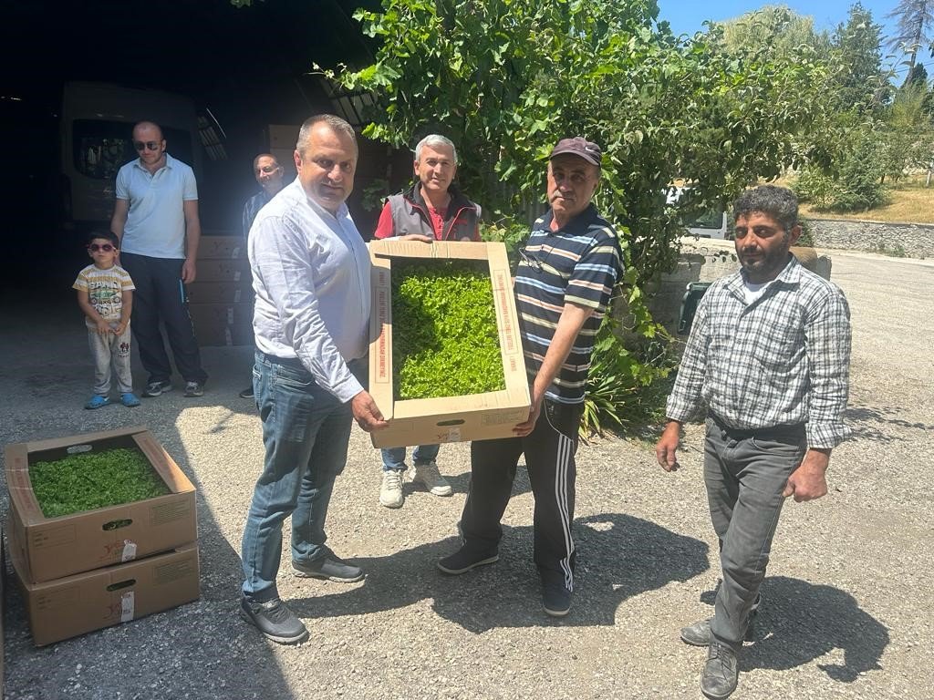 Kastamonu’da çiftçilere 80 bin fide dağıtıldı