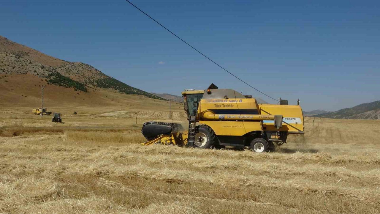 160 bin dönümde buğday hasadı, verim üreticinin yüzünü güldürdü