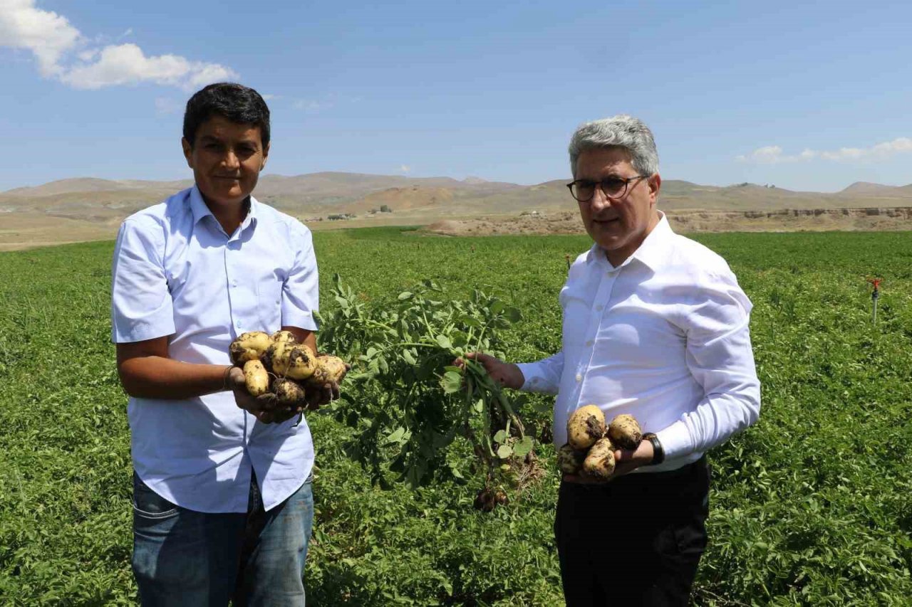 Ağrı’da patates üreticilerine destek