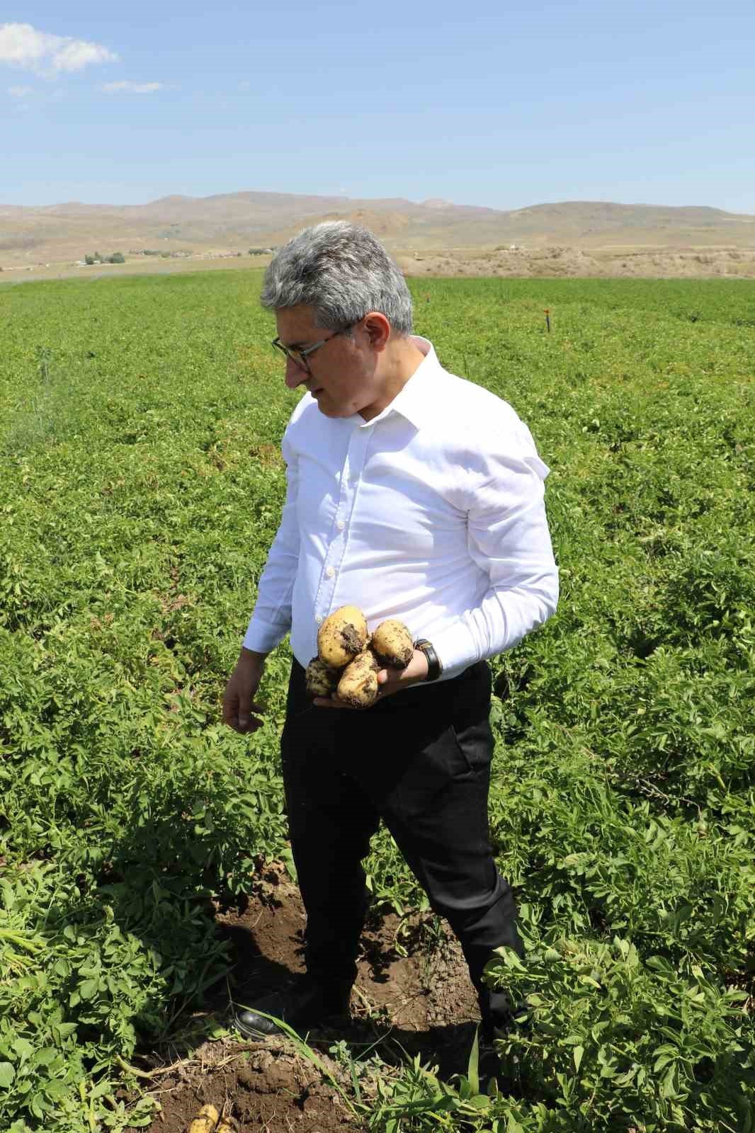 Ağrı’da patates üreticilerine destek