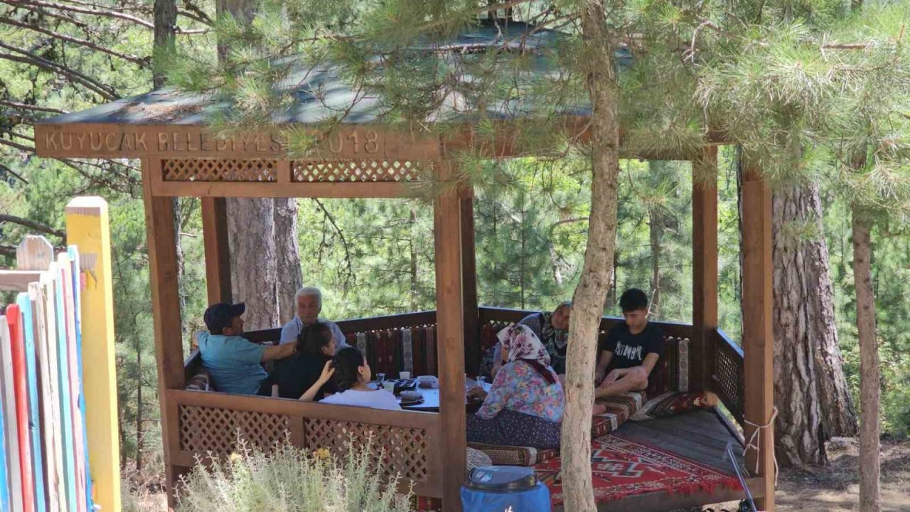 Burası Karadeniz değil Aydın