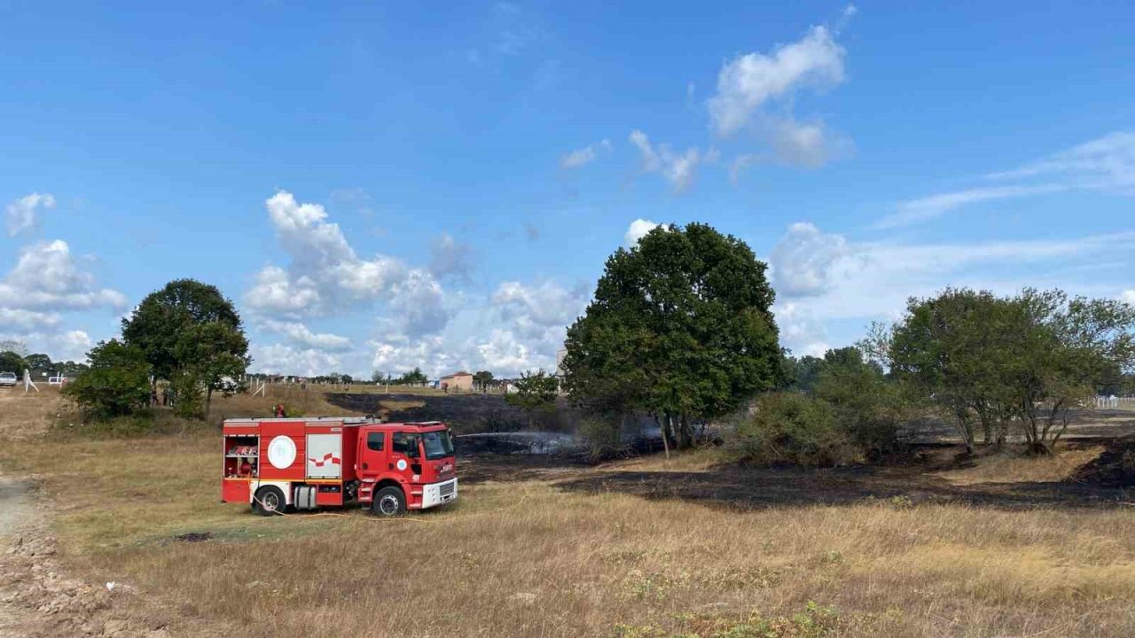 Bahçe şöminesinde çıkan yangın çayırlık alanı küle çevirdi