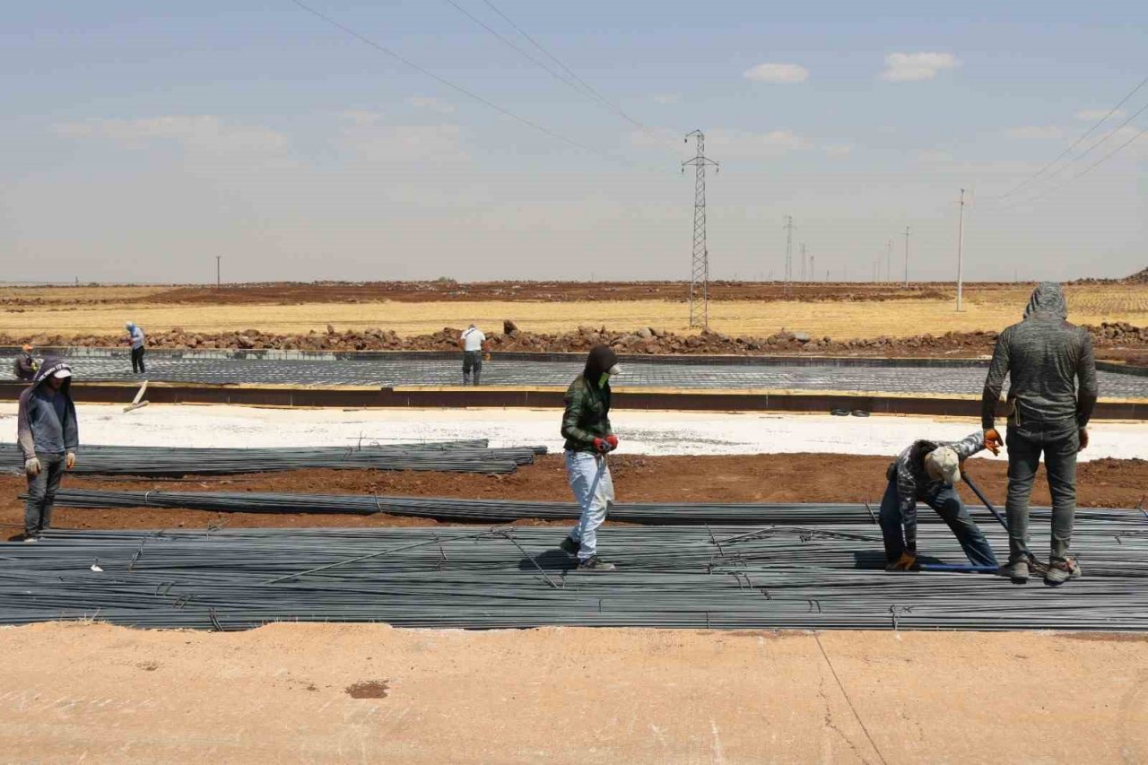 Büyükşehir’den Viranşehir’e modern mezbaha