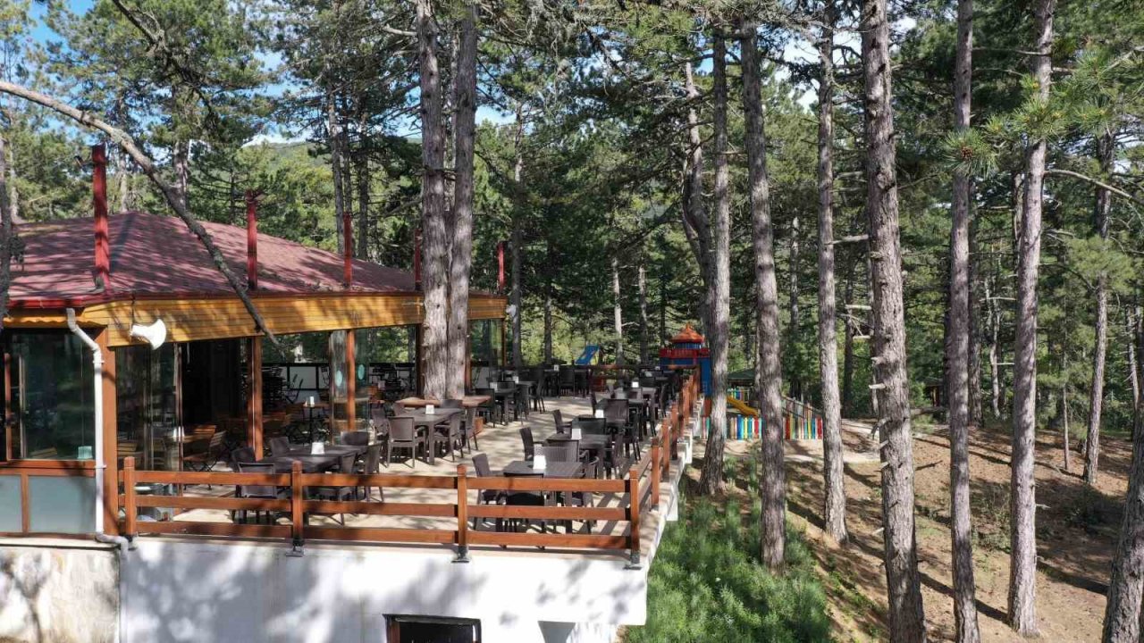 Burası Karadeniz değil Aydın