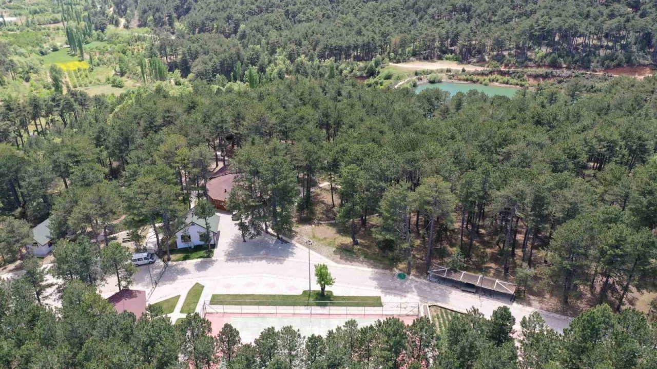 Burası Karadeniz değil Aydın