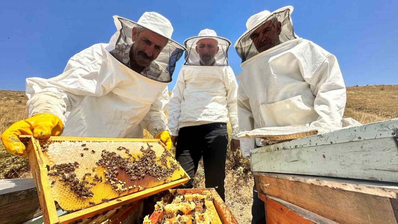 2000 rakımda tescilli geven balının hasadı başladı