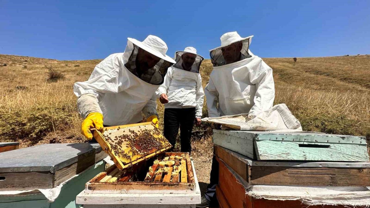 2000 rakımda tescilli geven balının hasadı başladı