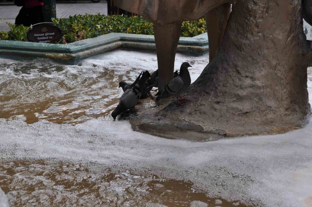 Süs havuzundaki bu kirliliğin sebebi merak konusu oldu