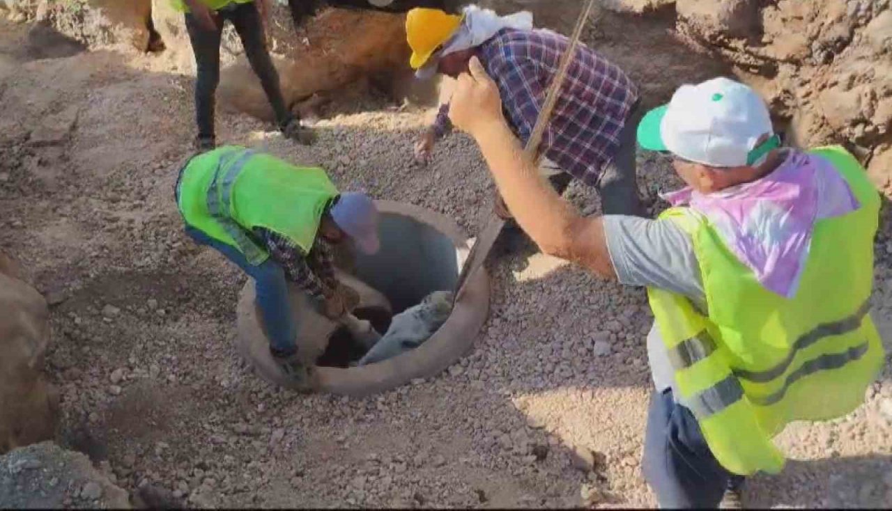 Kuyuya düşen eşek iş makinasıyla kurtarıldı