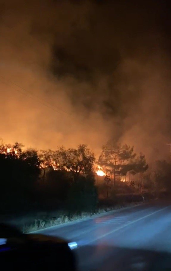 Bodrum’da alevler geceyi aydınlattı