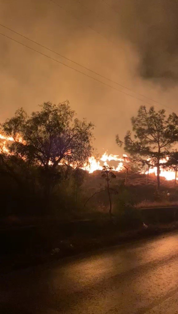 Bodrum’da alevler geceyi aydınlattı