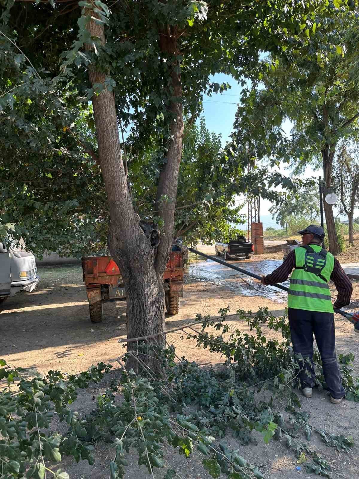 Mergen Mesire Alanı pırıl pırıl oldu