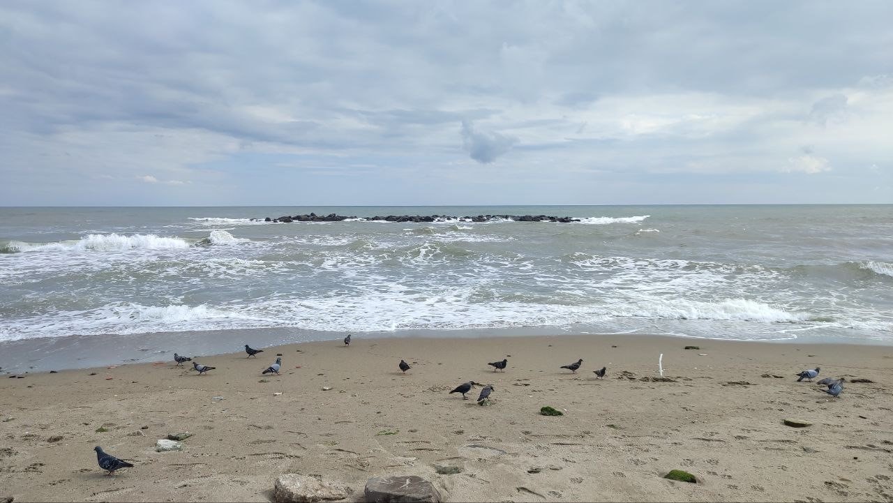 O sahillerde denize girmek yine yasak