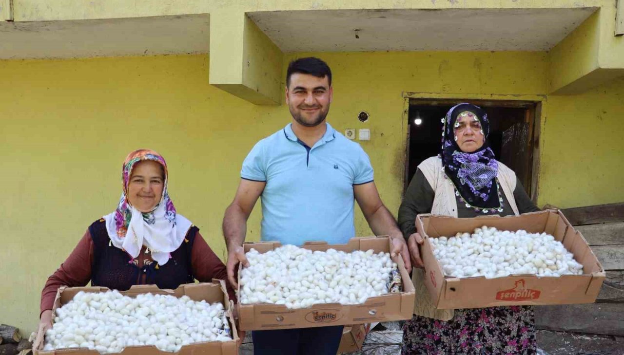 20 metrekare alanda 40 kilo yetişiyor: Kilosu 400 TL